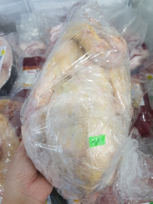 Gà Ta Bến Tre Thả Vườn - Gà Mái